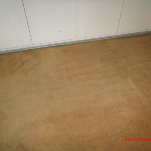 Carpet After 1